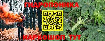 ешки Можга