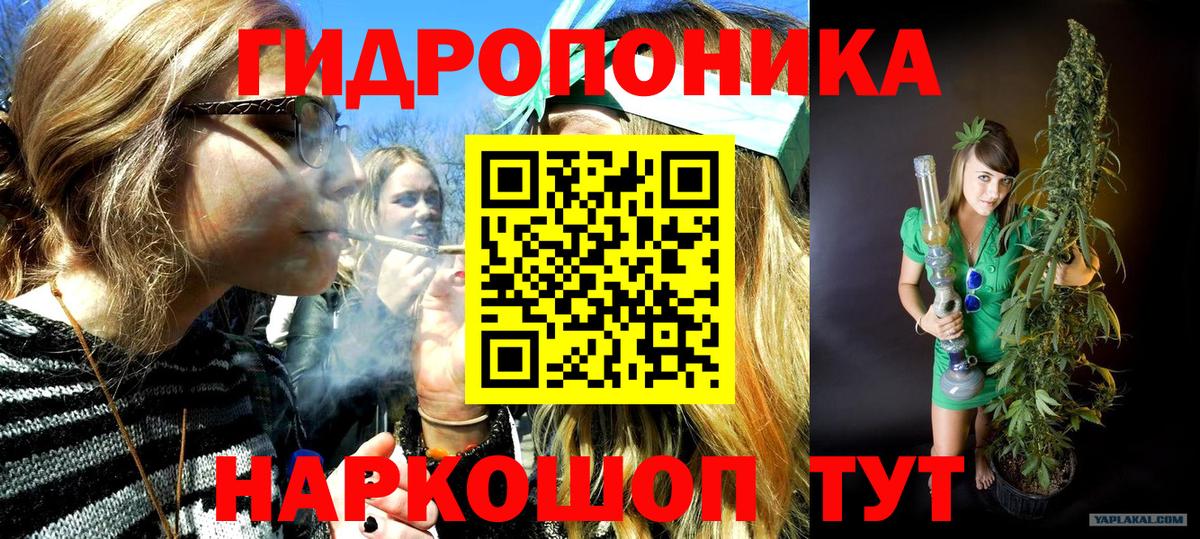 Канабис OG Kush Ярославль